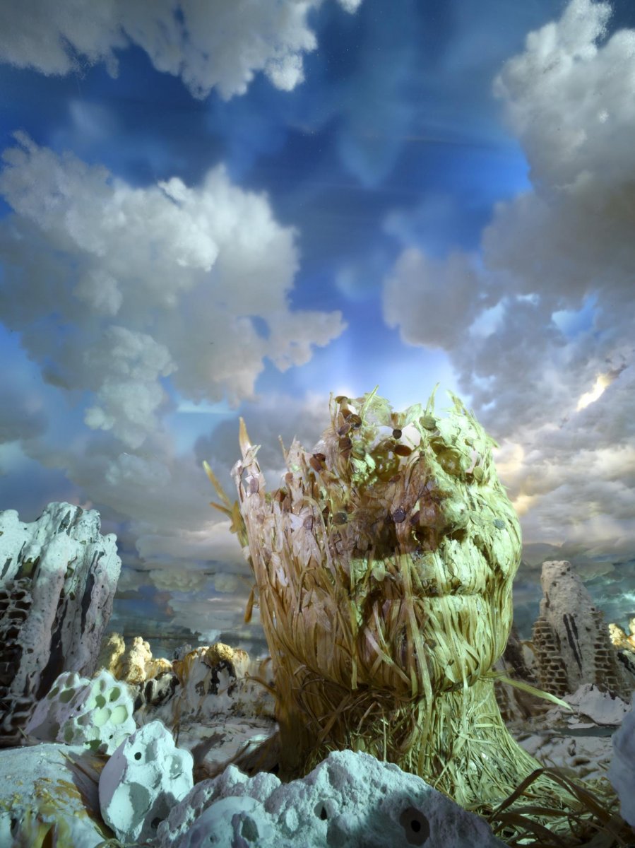 Foto 27, Bethany the Forest, plexprint